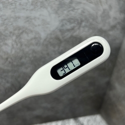Термометр Xiaomi Measuring Electronic Thermometer White (MMC-W201)