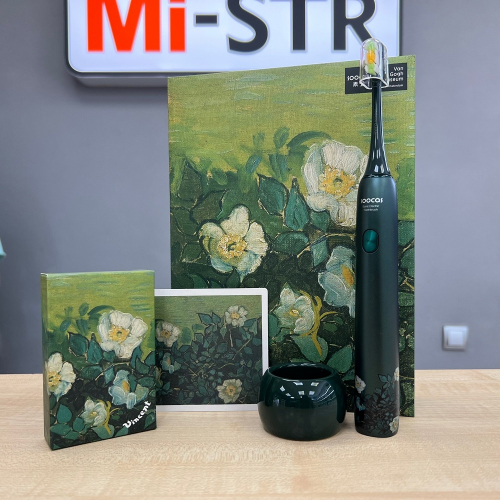 Электрическая зубная щетка Xiaomi Soocas Sonic Electric Toothbrush Ван-Гог Green